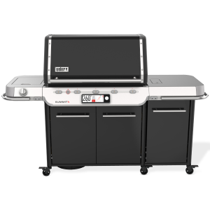WEBER-summit-FS38X