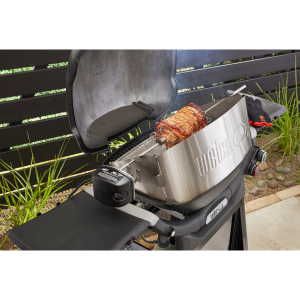 Asador giratorio para Q 3200N+