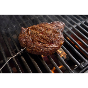 Sonda para alimentos ultrafina Weber